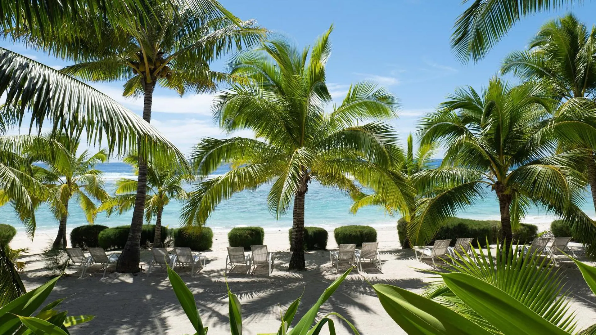 Rarotonga Spa Hotel | Ultimate Wellness Escape